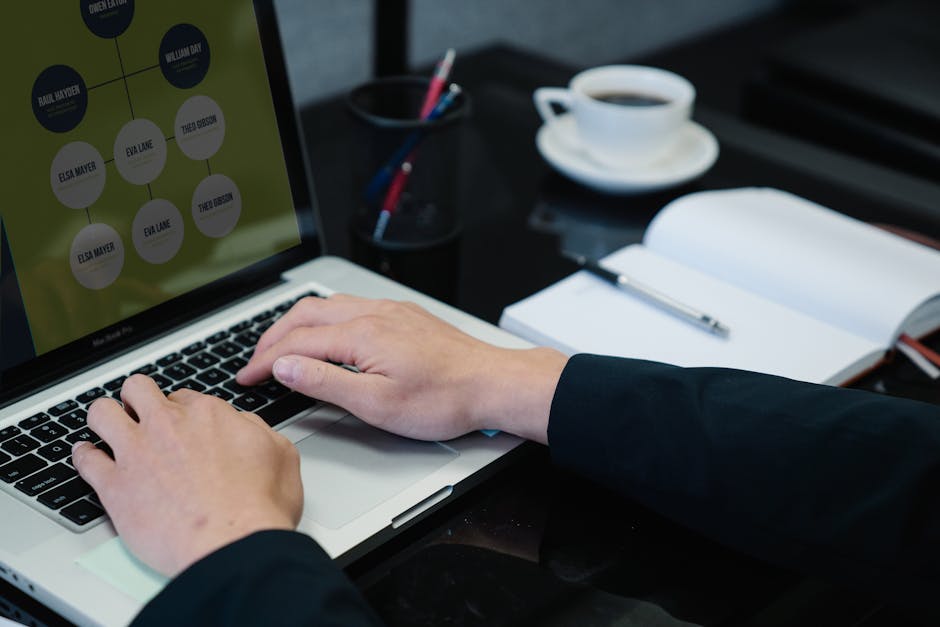 How People Use OpenClaw Workflows in 2026